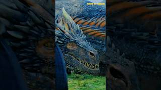 DAENERYS TARGARYEN amp DRAGON dragon daenerystargaryen got7 gameofthrones [upl. by End]