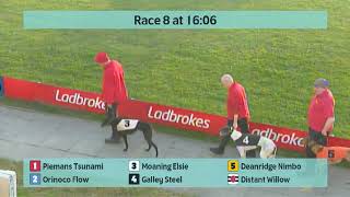 Crayford Greyhounds Races on 1st February 2024 [upl. by Notniuqal]