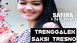 Safira Inema  Trenggalek Saksi Tresno Official Music Video [upl. by Macintyre]