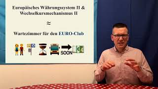 Der Europäische Wechselkursmechanismus II  WiSoPOLITIKMrG 👨‍🏫 Abitur SOWI Sozialkunde [upl. by Weiman]