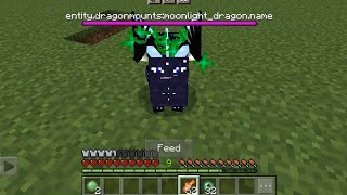 Tame ender dragon in Minecraft  Tame ender dragon mcpe  Minecraft mount dragon mod  minecraft mod [upl. by Reeher899]