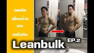 Leanbulk EP2  ยกเวทแบบ Reverse pyramid training แถมตารางใต้คลิป [upl. by Ynnhoj]