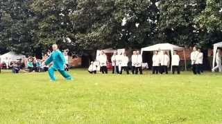 Forma 42 TaiJiQuan  Maestro Massimo Frosi  Belgioioso 2015 [upl. by Ahsaetan]