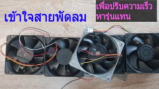 2 wire 3 wire 4 wire DC Fan เข้าใจสายพัดลม 2 สาย 3 สาย 4สาย 3 PIN 4 PIN Cooling fan [upl. by Baras]