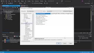 LNK2019 Unresolved External Symbol impglClear4 Error  Visual Studio 2019 [upl. by Aissilem]