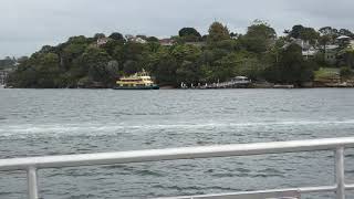 Sydney Ferries Riverclass MV Margaret Olley Abbotsford → McMahons Point direct part 2 [upl. by Erminie34]