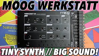 MOOG WERKSTATT01 amp CV EXPANDER  Big analogue synth tone in a tiny affordable package [upl. by Estevan]