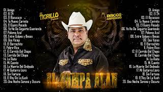 Mejores corridos chingones Tigrillo Palma mix  Corridos 2022 [upl. by Ahseinar97]