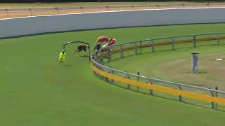 Bundaberg16092024Race4 [upl. by Onil460]