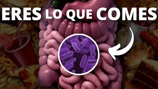 Las bacterias de tu intestino afectan a tu cerebro [upl. by Irec]