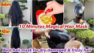 Best Hair Mask For DryDamaged amp Frizzy Hair20 Minutes DIY Hair MaskSummer Special Hair Mask [upl. by Shaver]