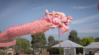 Hobsons Bay LNY 2024  Dragon Dance [upl. by Luby162]