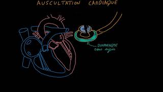 Auscultation cardiaque Partie 1 Introduction Docteur Synapse [upl. by Steele]