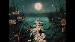 Fireflies Lake  Full Album 7 titles💽  FREE Chill Lofi Sad Beat 2024 [upl. by Herold151]