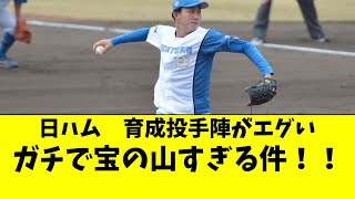 日本ハムの育成投手陣、エグい。ガチで宝の山すぎる件 [upl. by Nosirb]