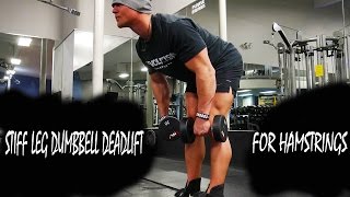 Stiff Leg Hamstring Deadlift With Dumbbells [upl. by Antonio]