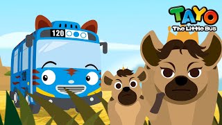 Brave Queen Hyena l Safari Bus Tayo l Learn Animals with Tayo amp Vehicles l Tayo the Little Bus [upl. by Melany]