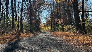 Through The Woods at Peace Valley [upl. by Gefen]