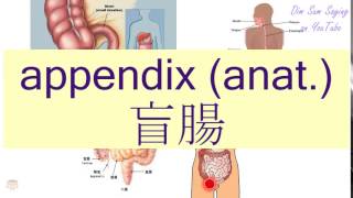 quotAPPENDIX ANATquot in Cantonese 盲腸  Flashcard [upl. by Danie584]