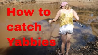 How to catch yabbies [upl. by Tjaden]