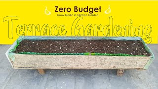 How to Start Terrace Gardening  Kitchen Gardening in Zero Budget  Winter Vegetables Seed Sowing [upl. by Ehtyde]