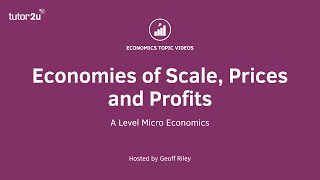 Economies of Scale  Prices and Profits I A Level and IB Economics [upl. by Michele]