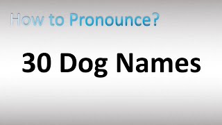 Pronounce Dog Breed Names [upl. by Adniles]