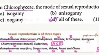 NEET PYQ Algae Q8 1994 [upl. by Tilla]