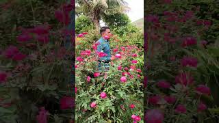 Dekha ek khwaab to ye silsile huye songs prakriti video amitabh bachchan songs viral short [upl. by Pierce555]