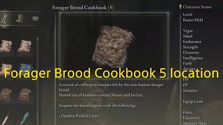 Elden Ring dlc  Forager Brood Cookbook 5 location [upl. by Pattison374]