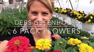 6 Pack Flowers with Debs Greenhouse [upl. by Nyrual]