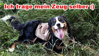 One Tigris 🔴 Hunderucksack  Outdoor mit Hund Geschirr Wandern [upl. by Sykleb]