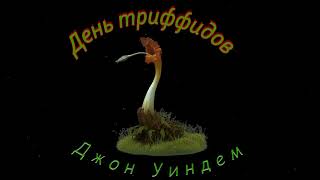 Джон Уиндем quotДень триффидовquot аудиокнига часть 9 John Wyndham Day of the Triffids Audiobook Part 9 [upl. by Haakon]