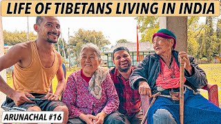 LIFE OF TIBETANS IN INDIA  Tibetan Refugee Camp [upl. by Omarr26]