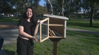 Little Free Libraries in Torrance [upl. by Gnouv109]