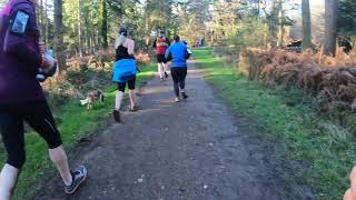 Alice Holt parkrun 306 New Years Day 1 Jan 2019 [upl. by Sanjiv]