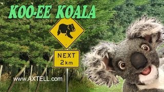 KOALA PUPPET by Axtell Expressions [upl. by Aramot11]