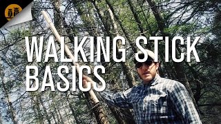 Walking Stick Basics [upl. by Enelaj]