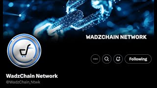 Wadzchain Wadzpay WCO WTK EPIC Update Nov 4 2024 [upl. by Artiek]