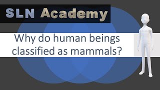 Why do Human Beings considered as mammals   Are human beings classified as animals [upl. by Estas]