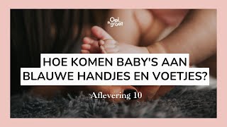 Hoe komen babys aan blauwe handjes en voetjes  Dé zwangerschapsantwoorden  Aflevering 10 [upl. by Atinrahc]