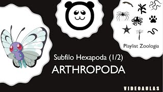 Filo Arthropoda  Hexapoda 25 [upl. by Billmyre737]