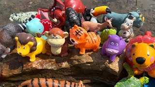 Wild Zoo Animal Toys Being Shown in Outdoors [upl. by Ynohtn199]