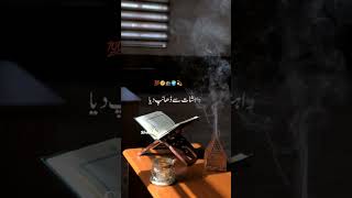 Taqwainsights637  Jannat or Dozakh muhammad shorvedio islamicshorts islamicvedio [upl. by Santoro]