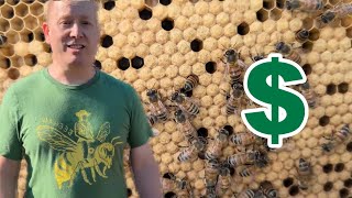 How much does beekeeping COST [upl. by Judy377]