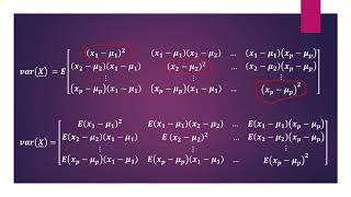 Multivariate Analysis  Multivariate Normal Distribution part 1 [upl. by Saberio]