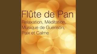 Flute de pan [upl. by Aynotel]