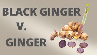 Black Ginger vs Ginger  Whats the difference [upl. by Staford923]