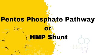 Pentos Phosphate Pathway  HMP Shunt  biochemistry bpharma bsc medical [upl. by Amisoc32]