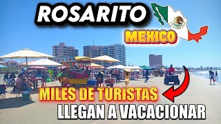 🟩⬜🟥 PLAYAS DE ROSARITO MEXICO🐬MILES de Turistas Extranjeros y Nacionales llegan a Vacacionar  2024 [upl. by Adnolay]